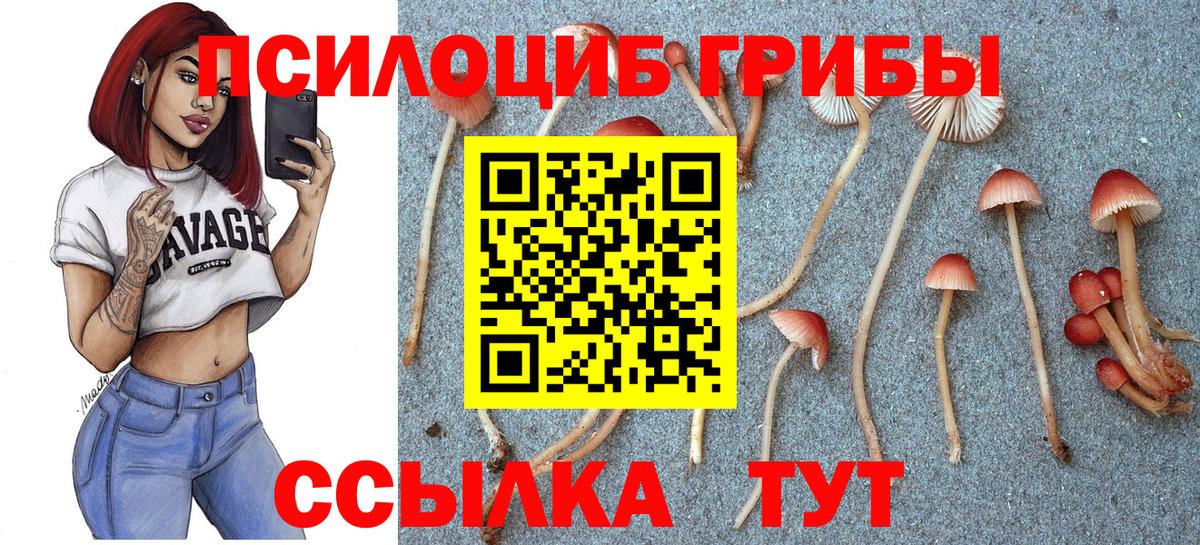 цена   Псилоцибиновые грибы Psilocybe  Вход с VPN  Галлюциногенные грибы MAGIC MUSHROOMS  Калач-на-Дону 